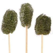 Artikel Luffa liten gurka på pinne mörkgrön 5-7 cm 25 st