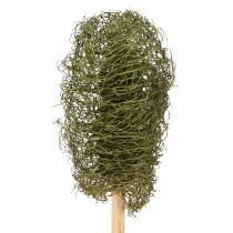 Artikel Luffa liten gurka på pinne mörkgrön 5-7 cm 25 st