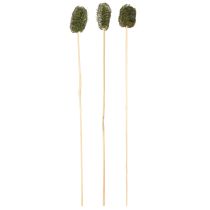 Artikel Luffa liten gurka på pinne mörkgrön 5-7 cm 25 st
