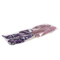 Artikel Luffa på pinne stor rosa, Erika 8cm - 30cm 25 st