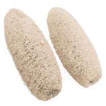 Artikel Luffa stor blekt 20 st