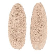 Artikel Luffa stor blekt 20 st