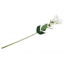 Artikel Lysianthus konstgjord blomma vit L87,5cm