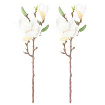 Artikel Magnolia Vit konstgjorda blomknoppar Dekorationsgren H40cm 2st