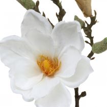 Artikel Magnolia vit konstgjord blomma med knoppar på dekorativ gren H40cm