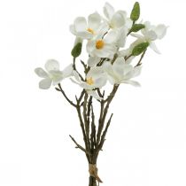Konstgjorda magnoliakrenar vit deco-gren H40cm 4st i gäng