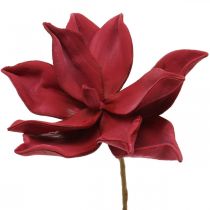 Artikel Konstgjord magnolia röd konstgjord blomma skum blomdekoration Ø10cm 6st