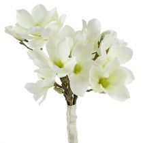 Magnolia gäng vit 40cm 5st