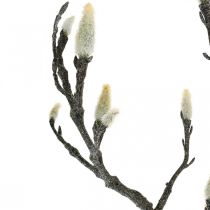 Spring Magnolia Gren Knopp Konstgjord Gren Brun Vit L100cm