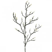 Spring Magnolia Gren Knopp Konstgjord Gren Brun Vit L100cm