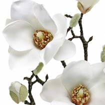 Artikel Magnolia gren vit Dekorativ gren magnolia konstgjord blomma