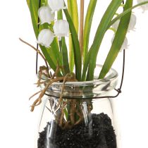 Artikel Liljekonvalj i glas Artificiell tidigblommare H22cm 3st