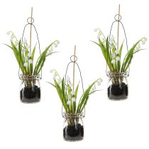 Artikel Liljekonvalj i glas Artificiell tidigblommare H22cm 3st