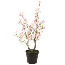 Artikel Mandelträd Stor konstgjord växt i Kruka Rosa Vit 74cm