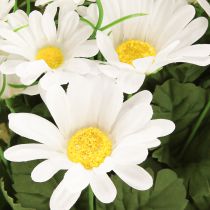 Artikel Daisy bukett vit 45cm