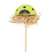 Artikel Nyckelpiga dekorativa blompluggar träfärgade 3,5cm 24 st