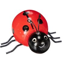 Artikel Tränyckelpigor/lyckobuggar som söta dekorationer för hemmet, 5 cm, 6 stycken