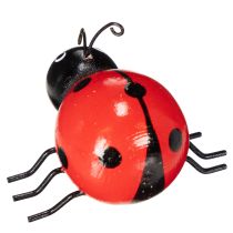 Artikel Tränyckelpigor/lyckobuggar som söta dekorationer för hemmet, 5 cm, 6 stycken