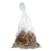 Artikel Maritima strutar grädde-vanilj blandade 5-18cm 25 st
