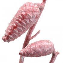 Maritim kon på gren rosa/vit vaxad 400g
