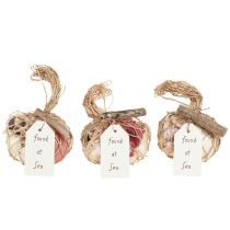 Artikel Maritim dekorativ snäckskalmix i ett nät, färgglad, 3,5-6 cm, 300 g × 3 stycken