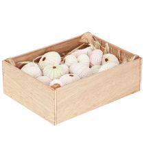 Artikel Maritim dekoration sjöborre skal rosa, vit scatter dekoration 20 st