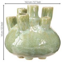Artikel Maritim Dekor Vas Coral Design Ljusgrön Ø14,5cm H14cm