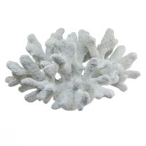 Artikel Maritim dekoration korall polyresin vit 38cm × 44cm × 27cm