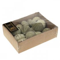 Artikel Nautisk dekoration sjöborre dekoration grön sommardekoration Ø5-6cm 15 st