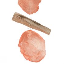 Artikel Maritim dekorationshängare Capiz-skal drivved orange natur 35cm