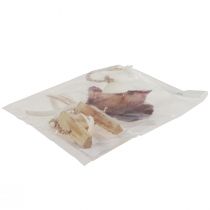 Artikel Maritim dekorativ hängare sjöstjärna Ø10–12cm 40cm