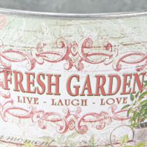 Artikel Metallväxtkruka Fresh Garden Färgglad Vintage H18cm