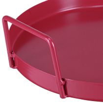 Artikel Mångsidig bricka, praktisk förvaring för matsal och terrass, 22 cm