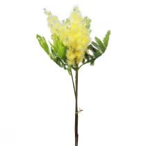 Konstgjord växt silver akacia mimosa gul blommande 53cm 3st