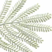 Artikel Dekorativ gren mimosa grön frosteffekt 63cm
