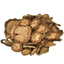 Artikel Mini träskivor betelnötsdekoration med ådring 1-4,5 cm 300 g