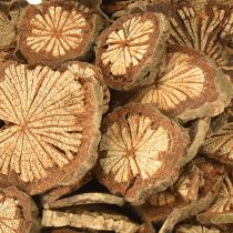 Artikel Mini träskivor betelnötsdekoration med ådring 1-4,5 cm 300 g