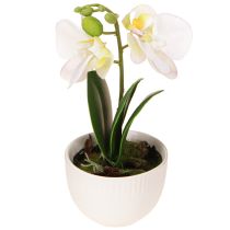 Artikel Miniorkidéer konstgjorda vita orkidéer i kruka 15cm