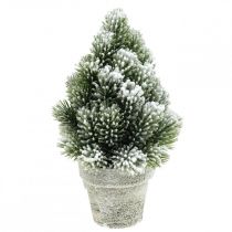 Mini julgran i kruka konstsnöad Ø14cm H24cm