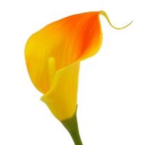 Artikel Mini calla konstgul 28cm 12 st