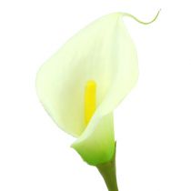 Artikel Mini Calla konstgjord vit L 28cm 12st