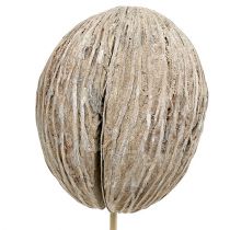 Artikel Mintollaboll på pinnmix vitkalkad 6 st