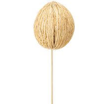 Artikel Mintolla boll blekt 8cm - 10cm L46cm 6 st