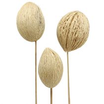 Artikel Mintolla boll blekt 8cm - 10cm L46cm 6 st