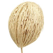 Artikel Mintolla boll blekt 8cm - 10cm L46cm 6 st