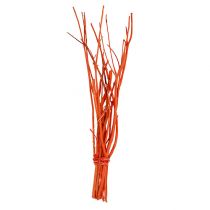 Mitsumata grenar orange 34-60cm 12st