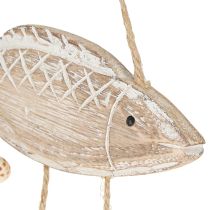 Artikel Mobila maritima träfiskskal Naturvita L20cm 2st