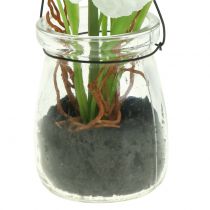 Artikel Vallmo i ett glas för att hänga vit H22cm