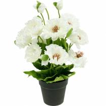Artikel Vallmo i en blom- dekoration för blomkruka vit siden