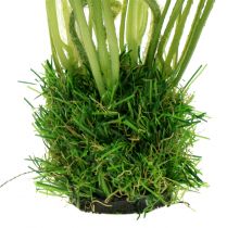 Artikel Vallmovit i gräset 23cm